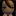 클레인 Clein