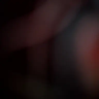 Profile image of ハヤト
