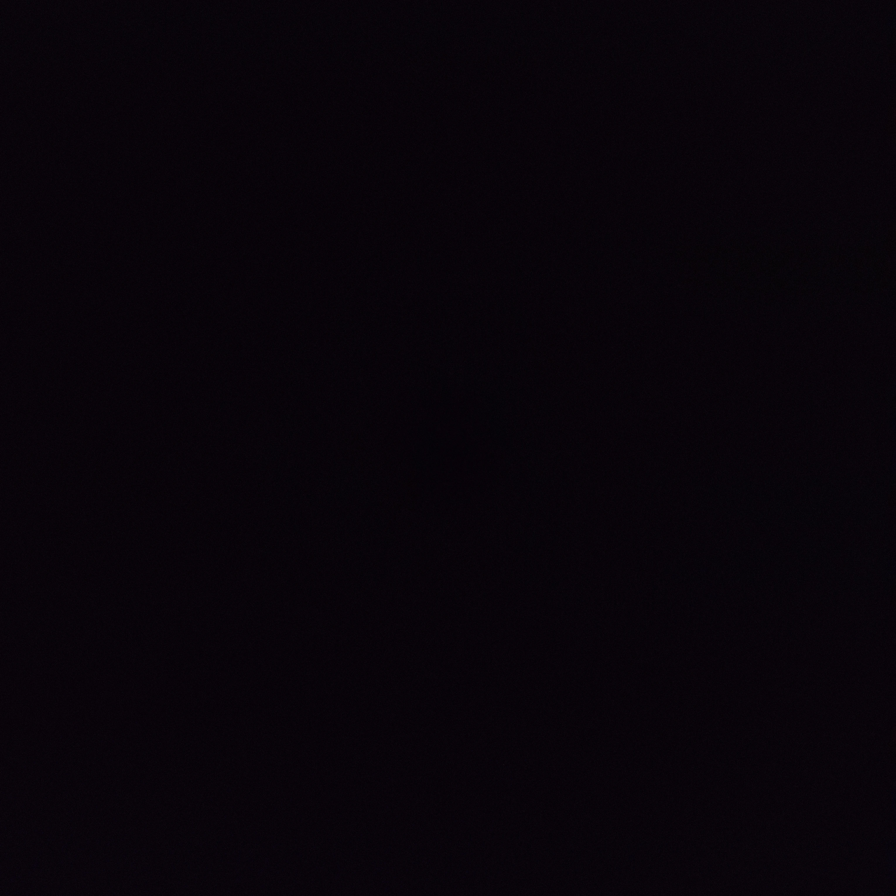 혁명의심장