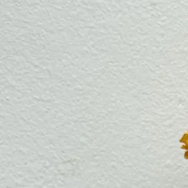 Profile image of 러프