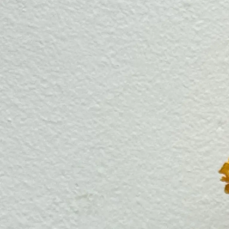 BitingMiki4897의 개인용