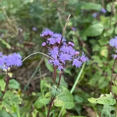 Profile image of 007 - tf141 - TW SA