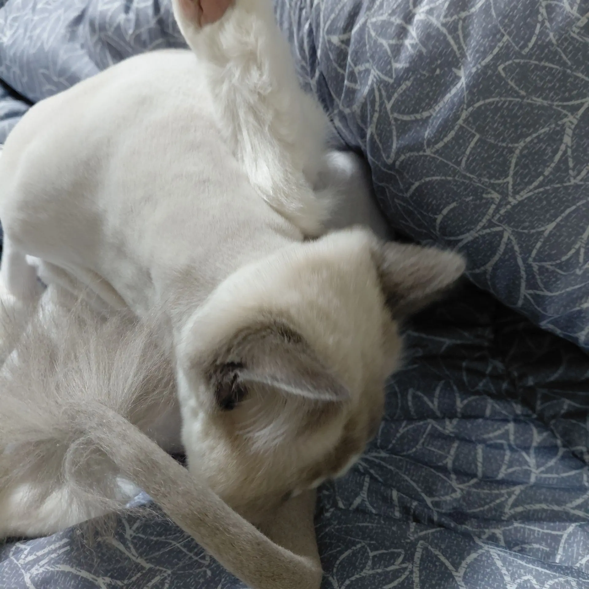 LivelyBarb2680의 무이치로 2편