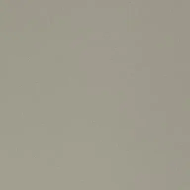 Profile image of 피터 페티구르