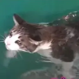 Profile image of 홍이