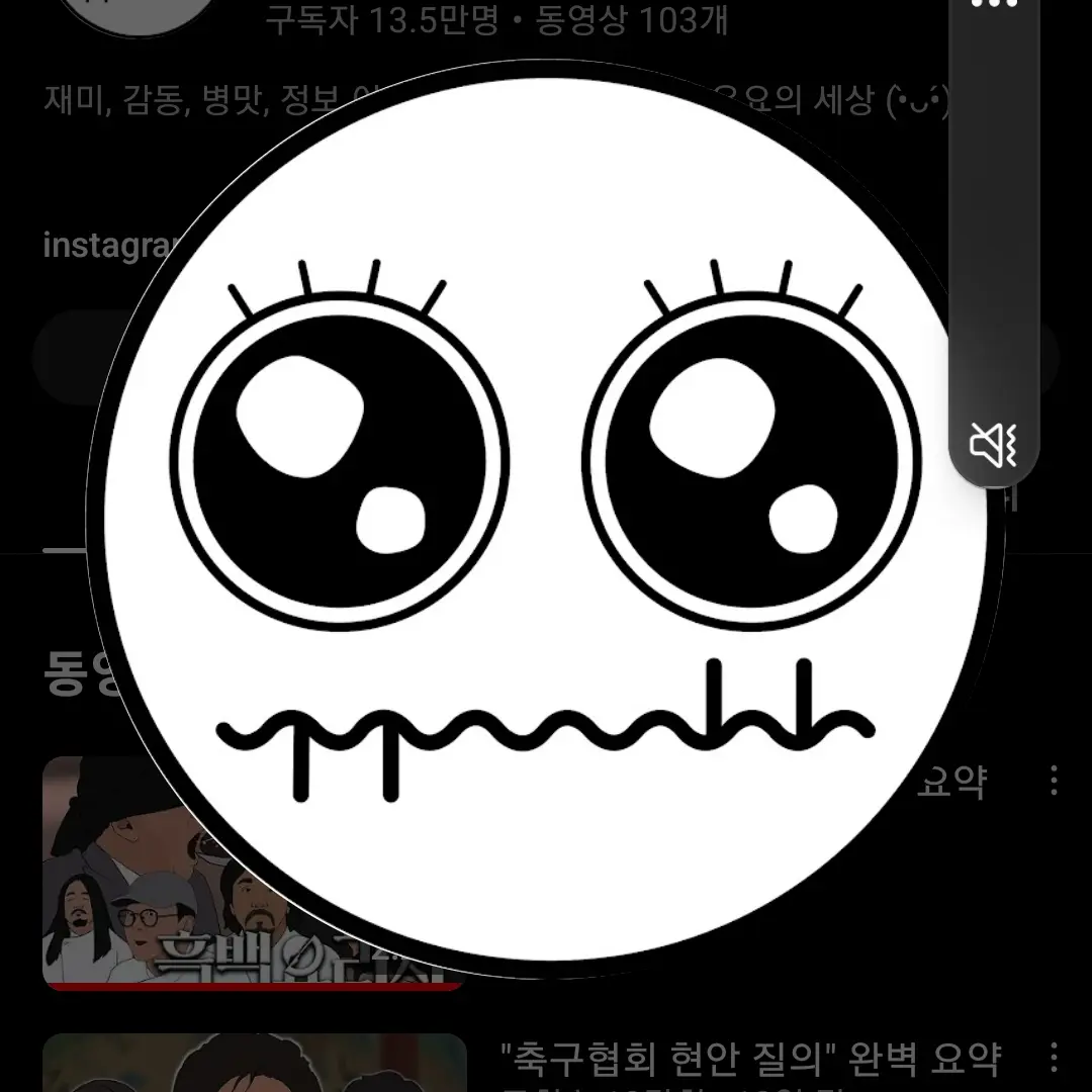 ChunkyJeans3177의 유요