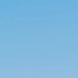 Profile image of 꽥