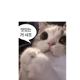 고얭이