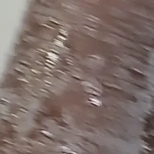 Profile image of 그날인 님 친구