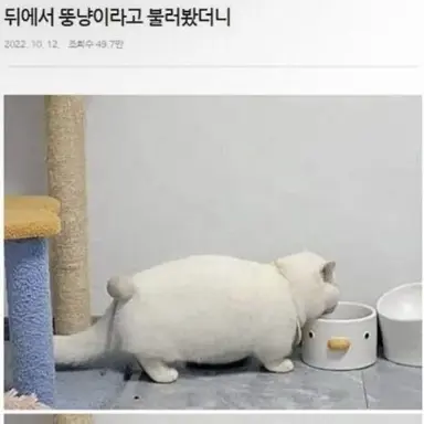 Profile image of 손권
