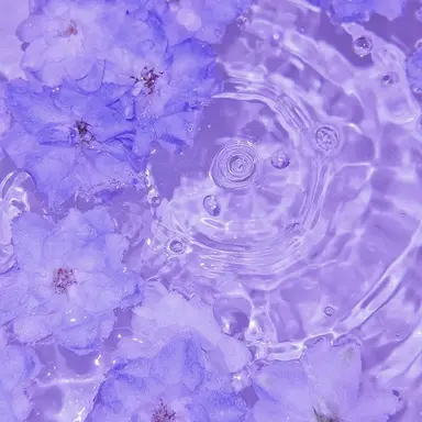 Profile image of 멜로우