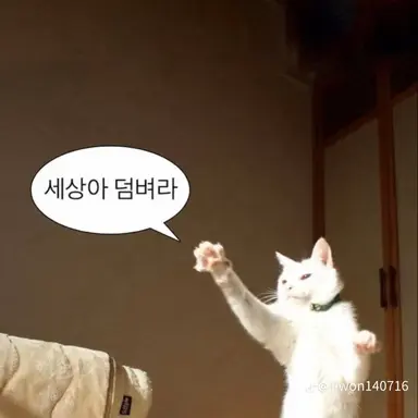 Profile image of 늑대