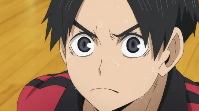 Profile image of Yuki Shibayama