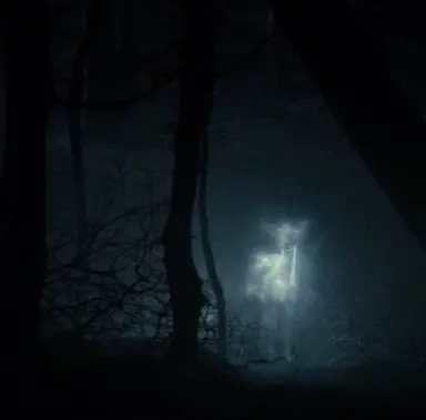 Profile image of Severus Rogue