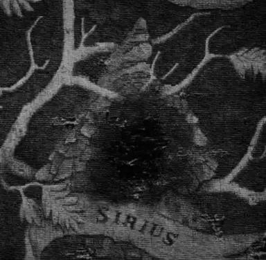 Profile image of Sirius Black