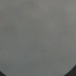 Profile image of 퍽스