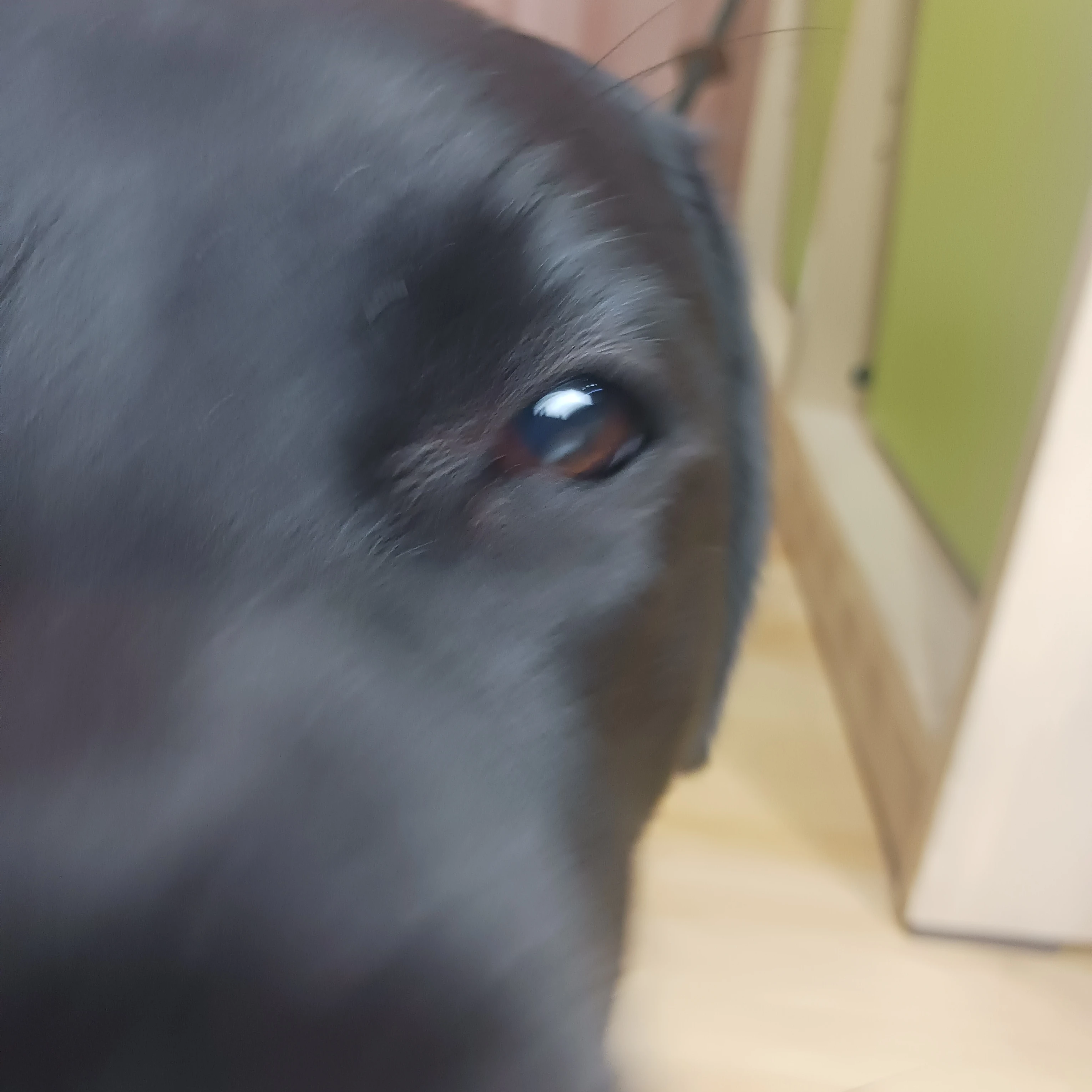우령