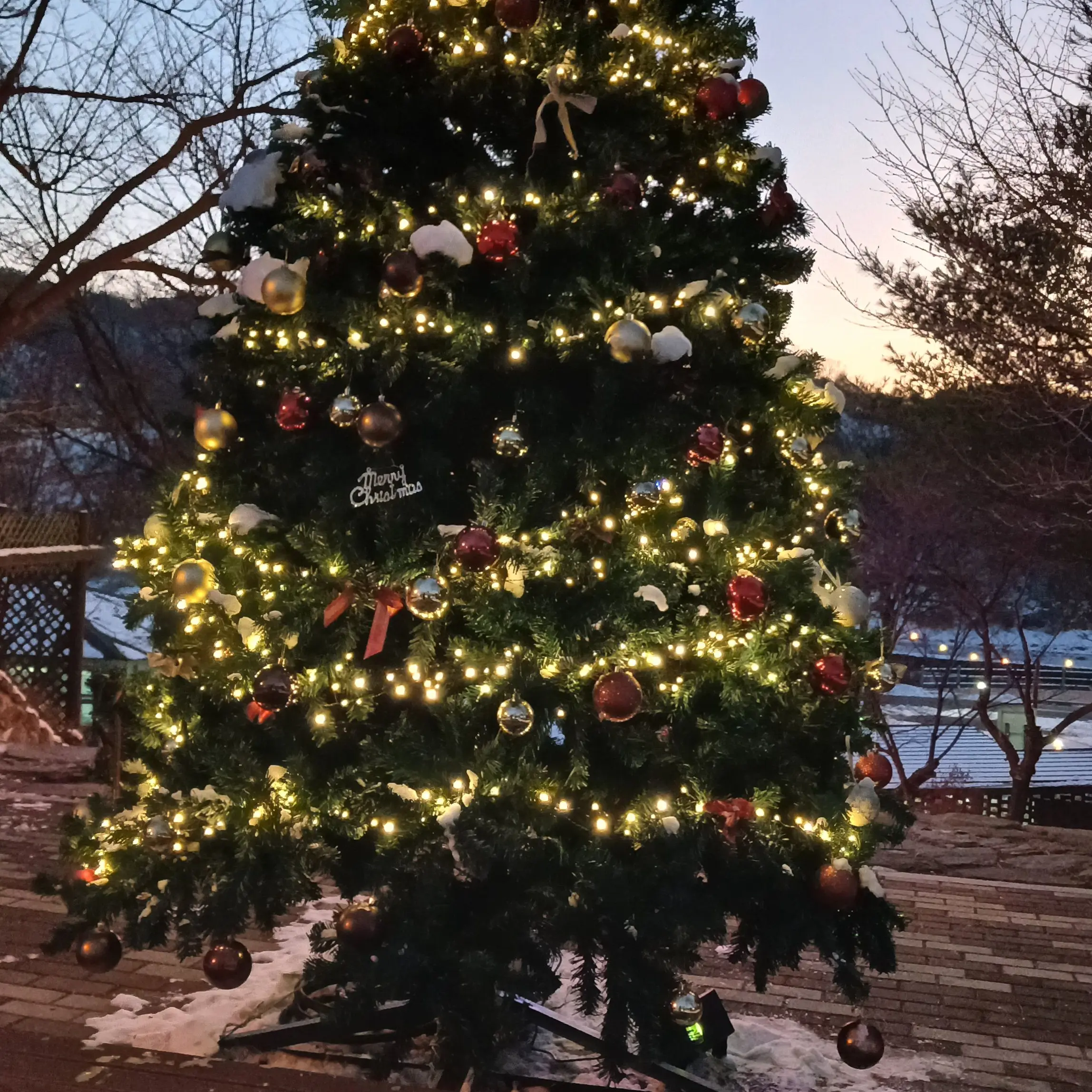 GentleHuman6917의 교통사고난 나른한 패밀리