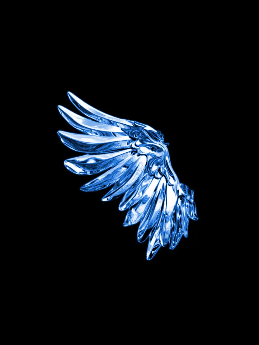 Darling_929의 飛べないね