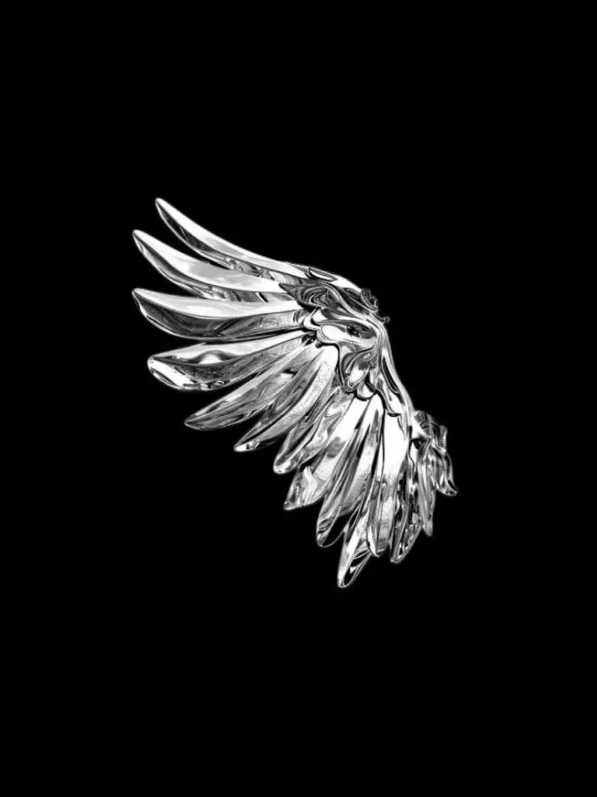 Darling_929의 飛べないね