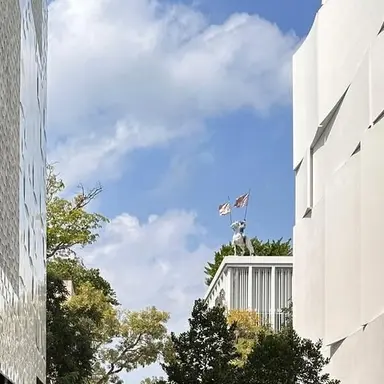 Profile image of 김산하