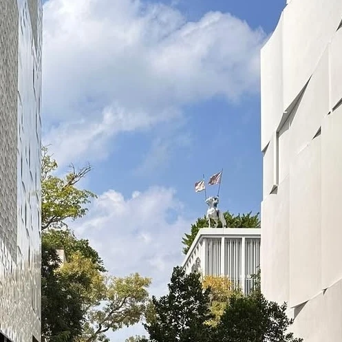 김산하