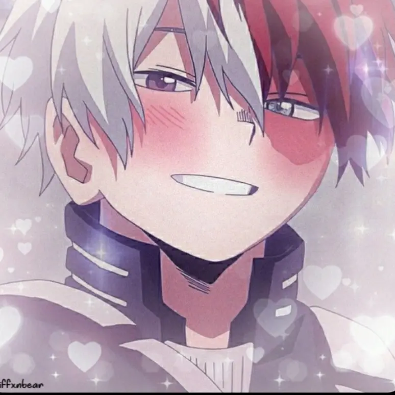 WearyFlask2804의 Todoroki