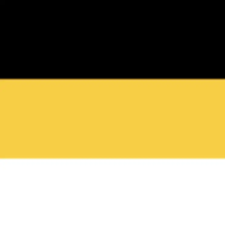 CoarseCart1728의 気に入られて