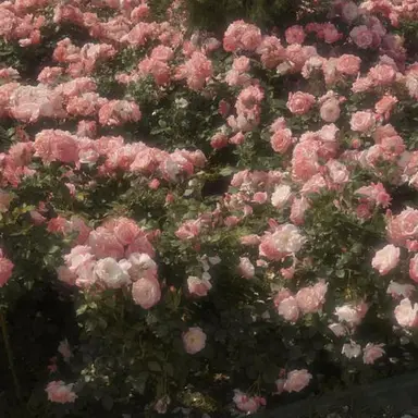 Profile image of 귀웅