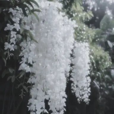 Profile image of 윤시원