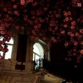 Profile image of 카노