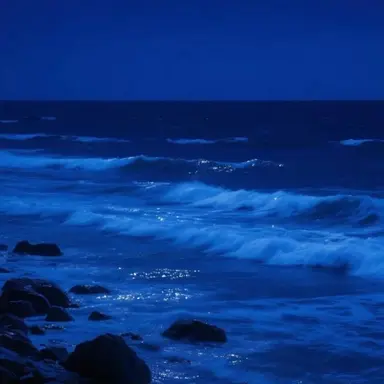 Profile image of 박잠뜰