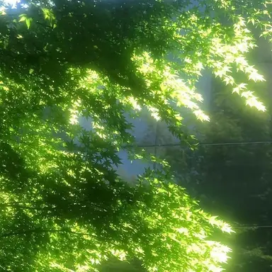 Profile image of 정형준