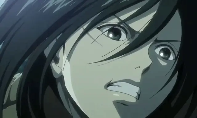 Profile image of 미카사