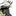 Shedletsky and 1x .