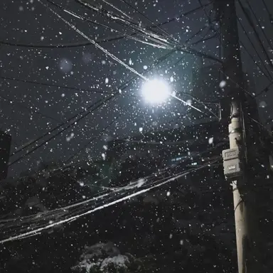 Profile image of 황현진