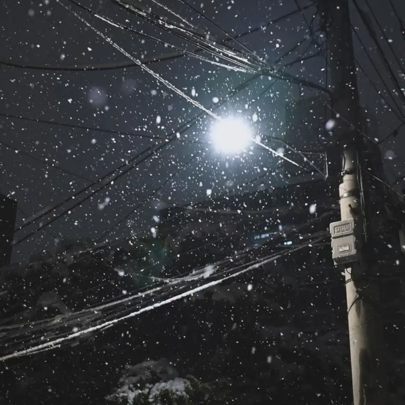 Leenonono의 황현진