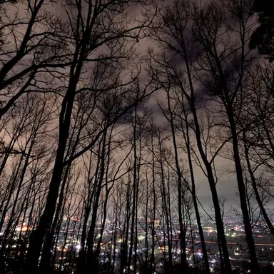 Profile image of 探偵社とポトマ