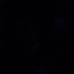 Profile image of Kim Haon