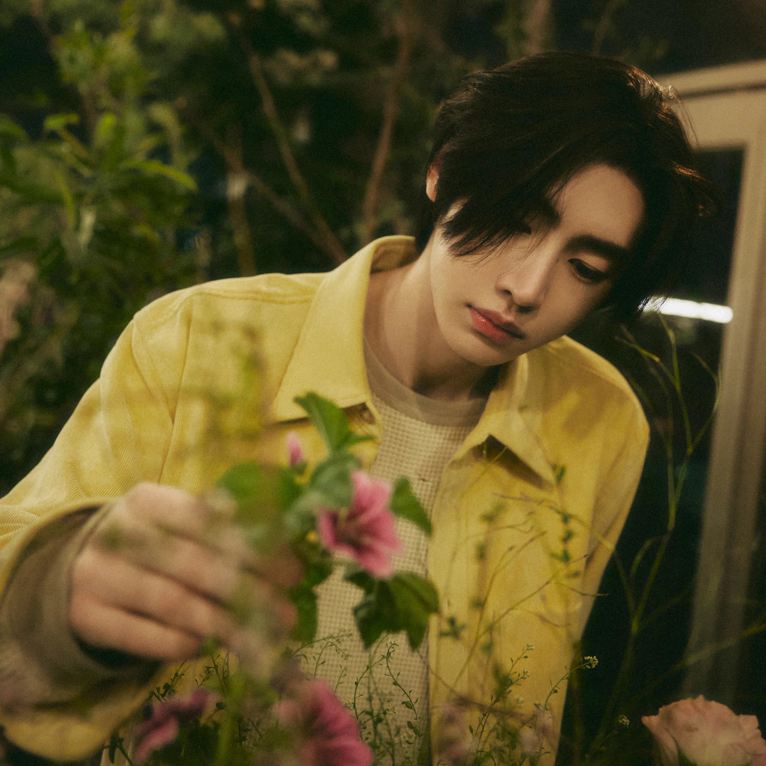 HAL_ENheeSH의 氷の王子