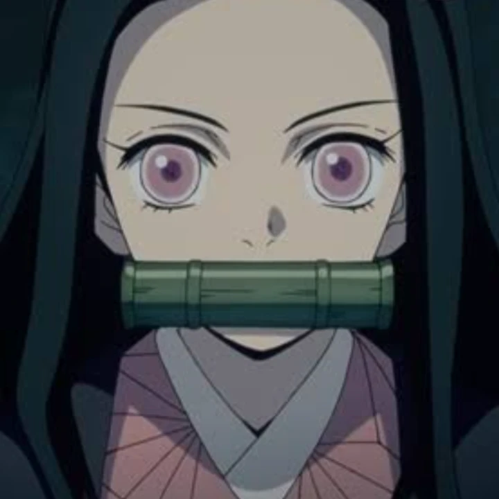 竃門禰豆子