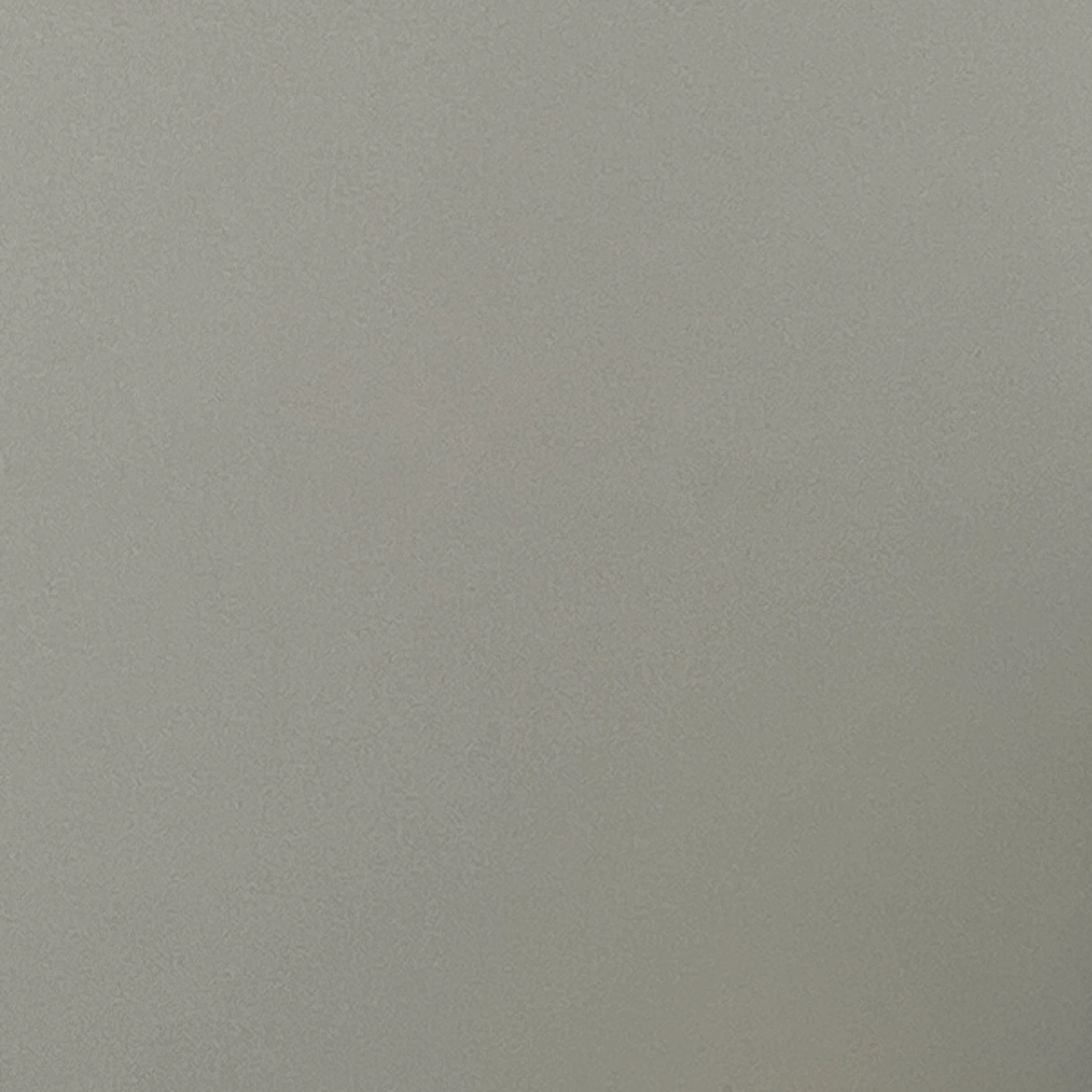 시청자