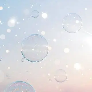 CattySlab4234의 異世界