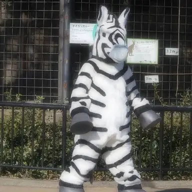 Profile image of シマウマ