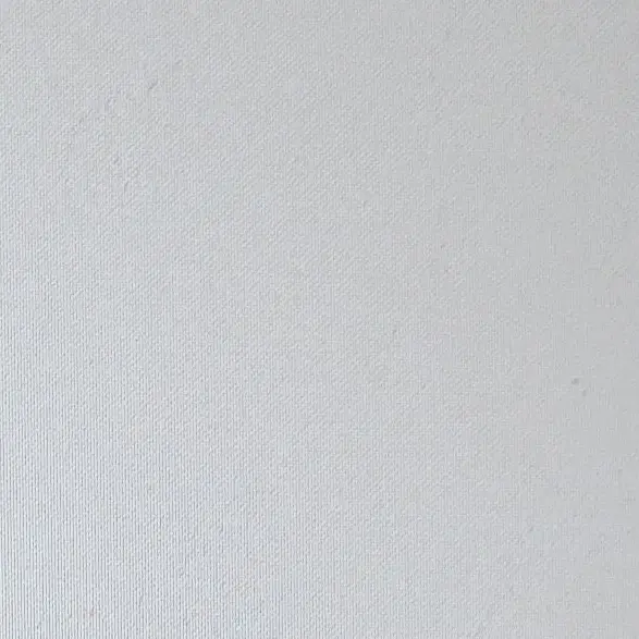 ekio의 にょた