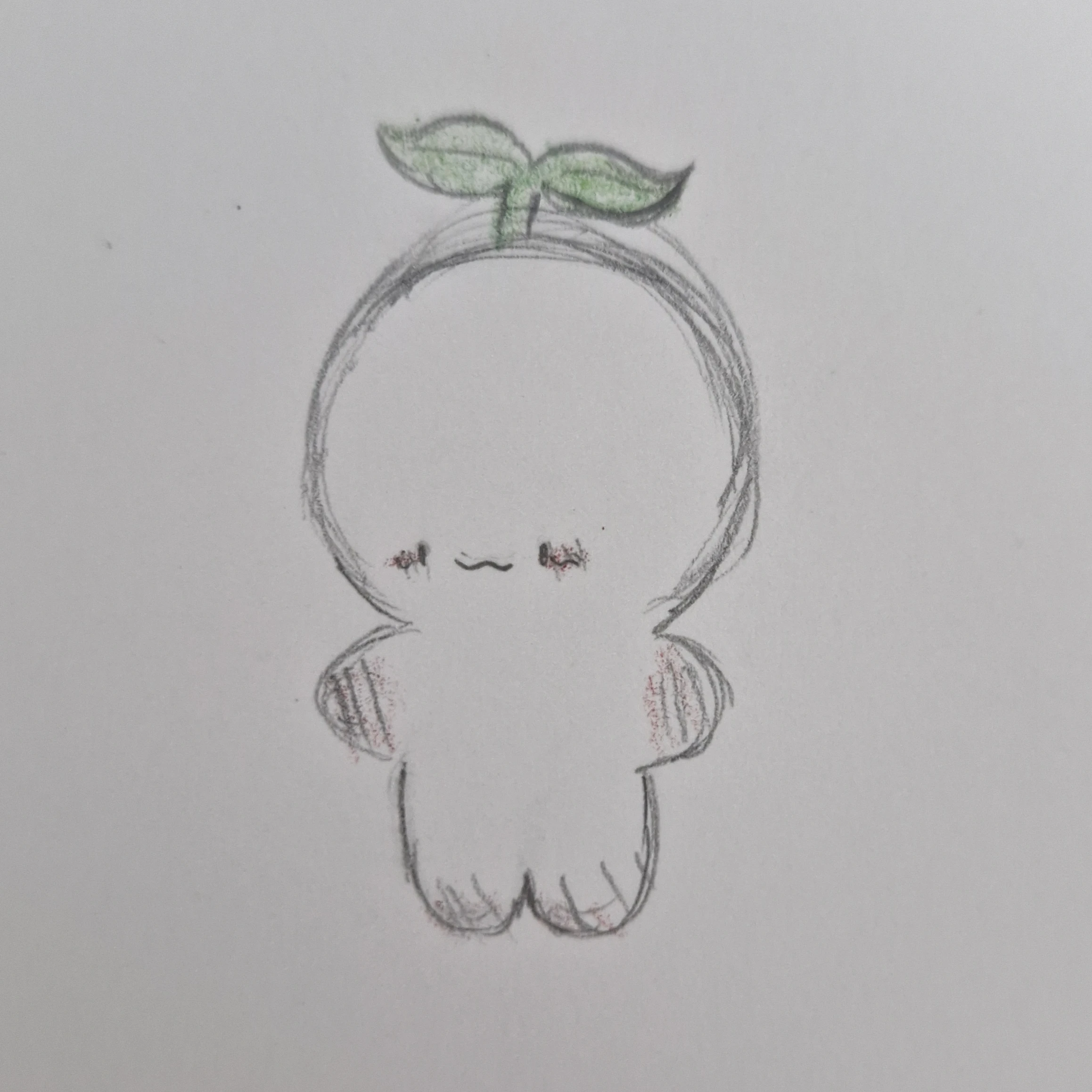 새싸기