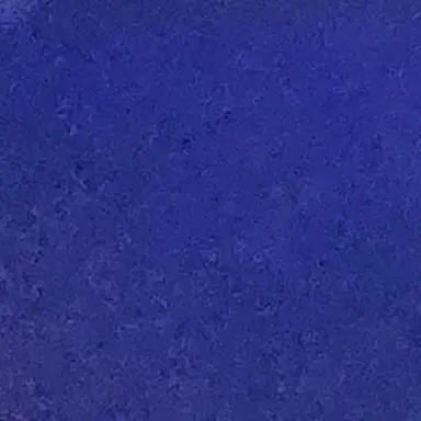 Profile image of Silent Salt Cookie