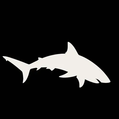 Profile image of 라엘