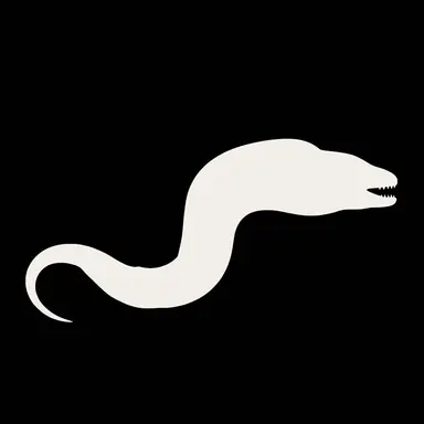 Profile image of 루아스