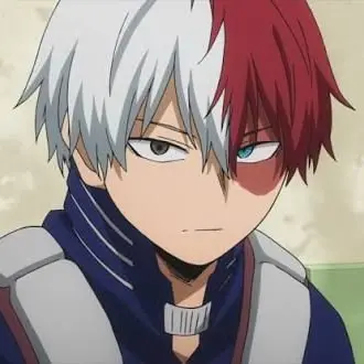 Profile image of Shoto Todoroki
